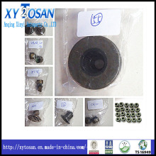 Oil Seal